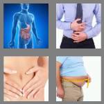 4 pics 1 word 7 letters stomach