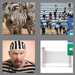 4 pics 1 word 7 letters striped