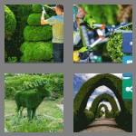 4 pics 1 word 7 letters topiary