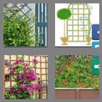 4 pics 1 word 7 letters trellis