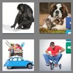 4 pics 1 word 7 letters unusual