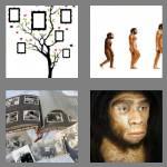 4 pics 1 word 8 letters ancestor