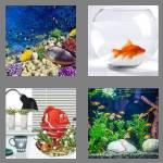 4 pics 1 word 8 letters aquarium