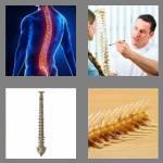 4 pics 1 word 8 letters backbone