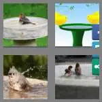 4 pics 1 word 8 letters birdbath