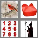 4 pics 1 word 8 letters cardinal