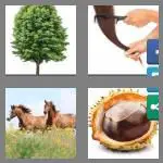 4 pics 1 word 8 letters chestnut