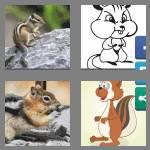 4 pics 1 word 8 letters chipmunk