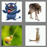 4 pics 1 word 8 letters creature