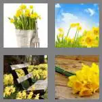 4 pics 1 word 8 letters daffodil