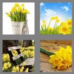 4 pics 1 word 8 letters daffodil