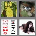 4 pics 1 word 8 letters disguise