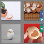 4 pics 1 word 8 letters eggshell