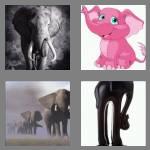 4 pics 1 word 8 letters elephant