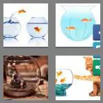 4 pics 1 word 8 letters fishbowl
