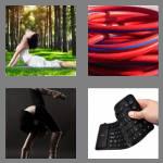 4 pics 1 word 8 letters flexible