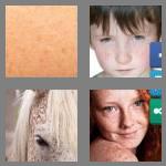 4 pics 1 word 8 letters freckles