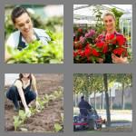 4 pics 1 word 8 letters gardener