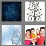 4 pics 1 word 8 letters genetics