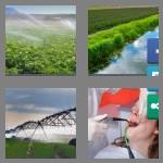 4 pics 1 word 8 letters irrigate