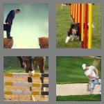 4 pics 1 word 8 letters obstacle