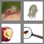 4 pics 1 word 8 letters parasite