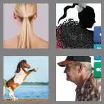 4 pics 1 word 8 letters ponytail