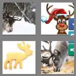 4 pics 1 word 8 letters reindeer