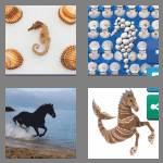 4 pics 1 word 8 letters seahorse