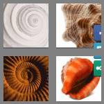 4 pics 1 word 8 letters seashell