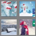 4 pics 1 word 8 letters snowfall