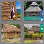 4 pics 1 word 8 letters thatched