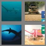 4 pics 1 word 8 letters thresher