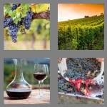 4 pics 1 word 8 letters vineyard