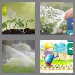 4 pics 1 word 8 letters watering