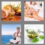 4 pics 1 word 8 letters wellness