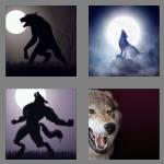 4 pics 1 word 8 letters werewolf