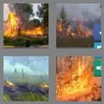4 pics 1 word 8 letters wildfire