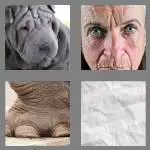4 pics 1 word 8 letters wrinkled