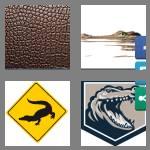 4 pics 1 word 9 letters alligator