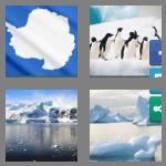 4 pics 1 word 9 letters antarctic