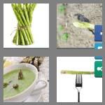 4 pics 1 word 9 letters asparagus