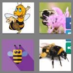 4 pics 1 word 9 letters bumblebee