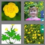 4 pics 1 word 9 letters buttercup