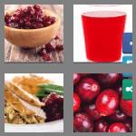 4 pics 1 word 9 letters cranberry