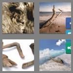 4 pics 1 word 9 letters driftwood