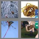 4 pics 1 word 9 letters entangled