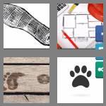 4 pics 1 word 9 letters footprint