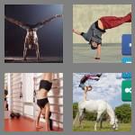 4 pics 1 word 9 letters handstand