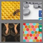 4 pics 1 word 9 letters hexagonal